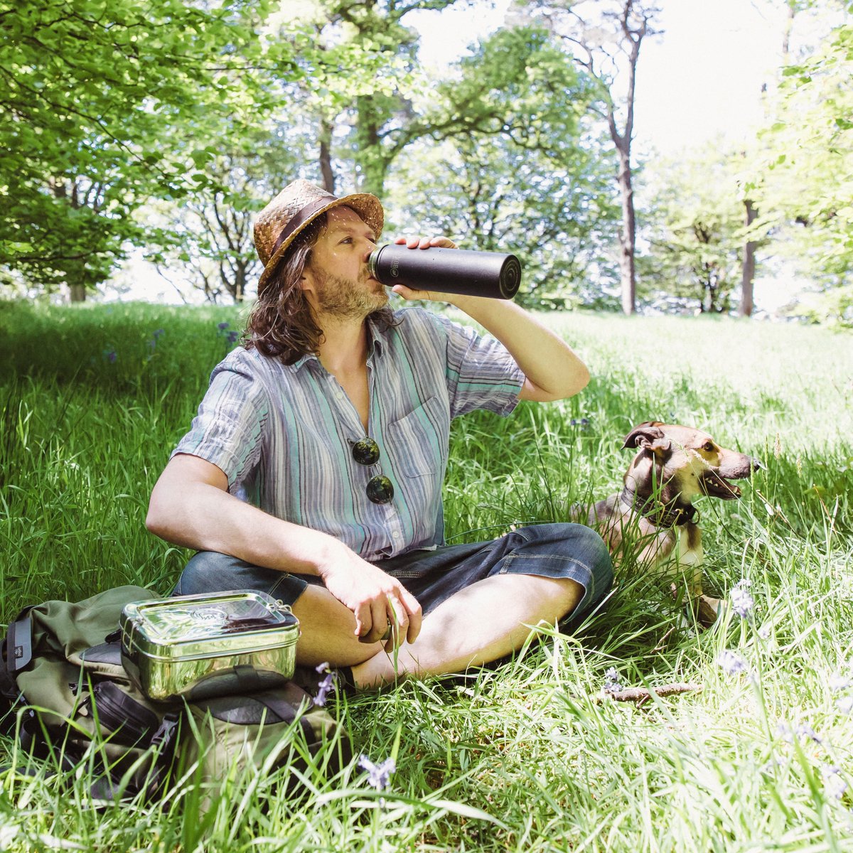 ElephantBox tweet media