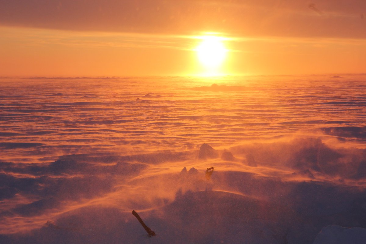 Jerry18Mouse's tweet photo. 7/17After television, I went to work at the Arctic Research Center. I was a photographer on various expeditions. Together with the scientific center, I traveled all over the far north. It was a new and very important experience for me. I had a lot of fun with all the expeditions. https://t.co/nQyeDGYIs6