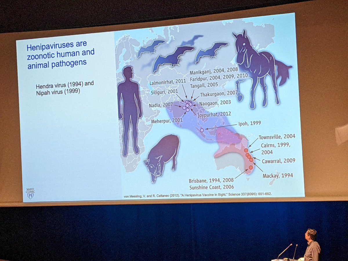 VIris__'s tweet photo. @choxybus presenting his work on Henipaviruses at #NSV2022 😁 https://t.co/U5aOaJ68T9