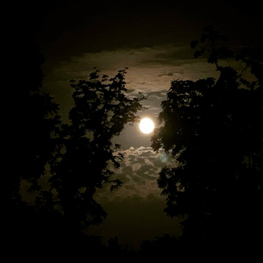 Hello, old friend. 🌕 instagr.am/p/Cez7oS3usL_/