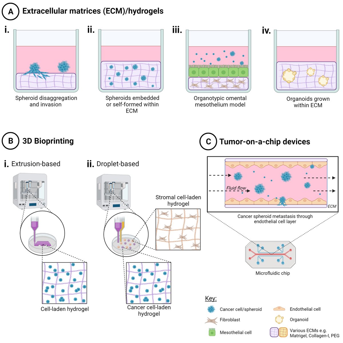 Prof Deborah Marsh (@djmarsh24) on Twitter photo Almost 4000 views & >900 downloads of our paper, 1st author <a href="/CYeePhD/">Christine Yee</a> , "Three-Dimensional Modelling of Ovarian Cancer: From Cell Lines to Organoids for Discovery and Personalized Medicine", pub'd in Feb <a href="/FrontBioeng/">Frontiers - Bioengineering and Biotechnology</a> Good to be contributing to this field frontiersin.org/articles/10.33… Almost 4000 views & >900 downloads of our paper, 1st author <a href="/CYeePhD/">Christine Yee</a> , "Three-Dimensional Modelling of Ovarian Cancer: From Cell Lines to Organoids for Discovery and Personalized Medicine", pub'd in Feb <a href="/FrontBioeng/">Frontiers - Bioengineering and Biotechnology</a> Good to be contributing to this field frontiersin.org/articles/10.33…