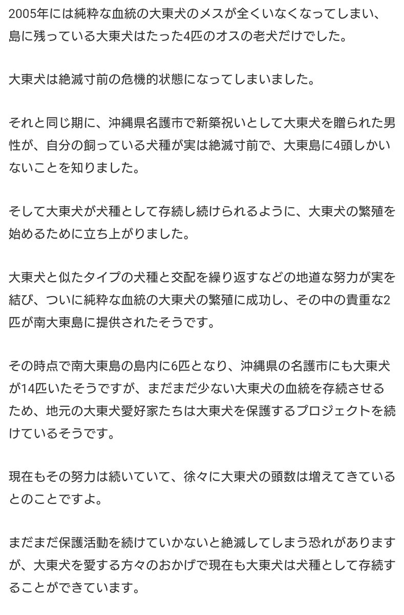 Punchihainu's tweet photo. 沢山の反応ありがとうございます！
そらえぐみ先生の最新刊で大東犬について書いてあり調べてみたら名護に保存活動をされてる方がいるとか。
会ってみたいなぁと思ってます😊

#沖つら
#大東犬
#musicshower https://t.co/PBKhfgqQEQ