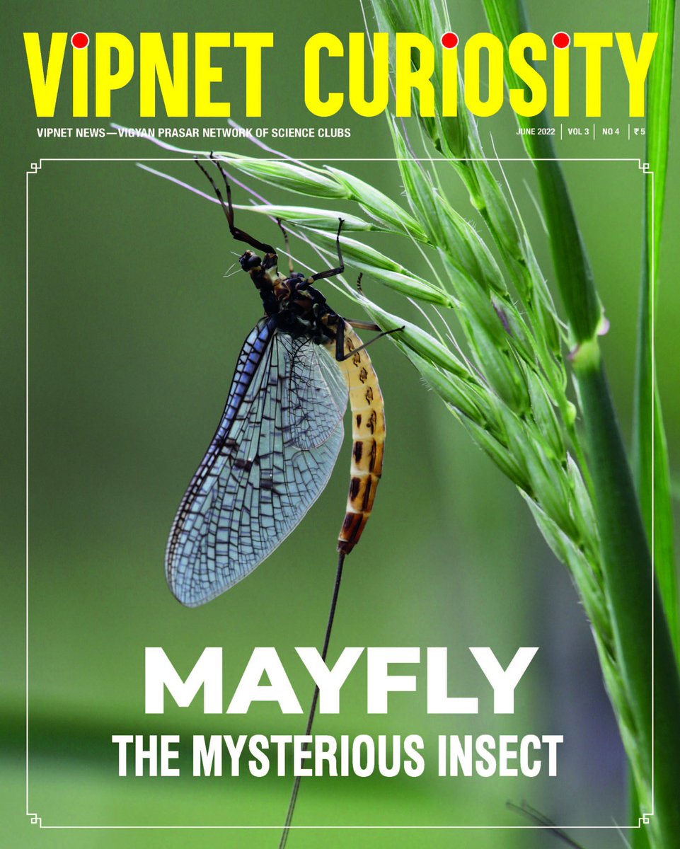 vipnetindia's tweet photo. VIPNET CURIOSITY - June 2022
"VIPNET NEWS—VIGYAN PRASAR NETWORK OF SCIENCE CLUBS"
To read the magazine, visit the link: https://t.co/rZtW8I6uOQ

@DrJitendraSingh @IndiaDST @moesgoi @PrinSciAdvOff @CSIR_IND @nakulparashar @BharatBhushanVp

#vipnet #vipnetnews #VigyanPrasar https://t.co/wXgTfrvsoe