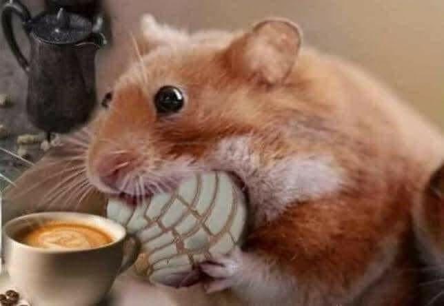JessJes61094102's tweet photo. Lluviaaaaa!
Automáticamente Yo 🙈🤣🤣🤣 https://t.co/ta73xgGEaH