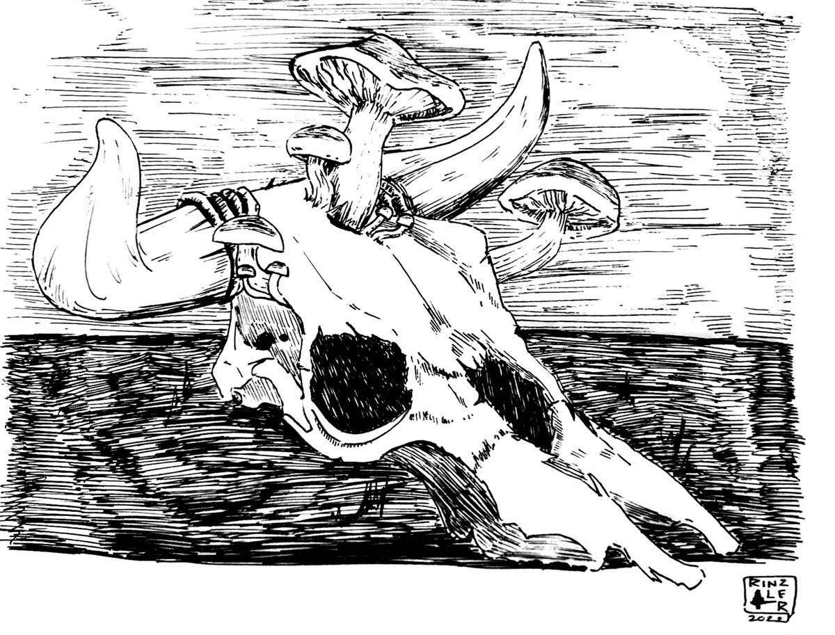 rinzler_ink's tweet photo. Severed Head.
#InkDrawing https://t.co/Erw2sNpnzH