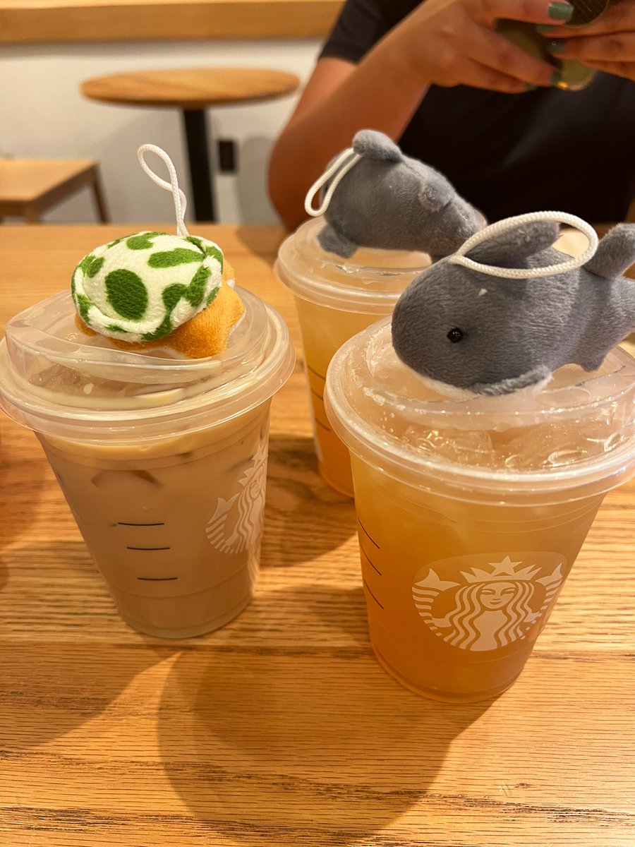 CoachDJ2016's tweet photo. Enjoying summer with a movie and coffee with our little sea creatures keeping us company. #CTWPanthers #summeroff #offishiallysummertime #teachersonbreak #movieday #jurassicworlddominion  @coachramirez23 @brrrrandon23 https://t.co/LaDkTpYjDk