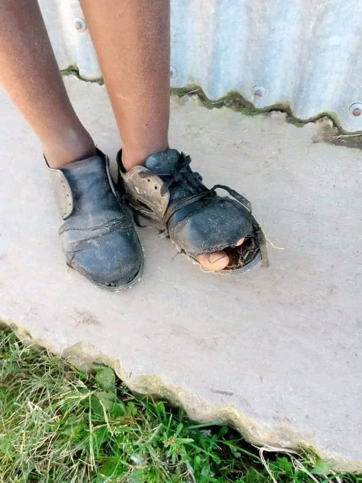 Tweeps please assist...Are there organisations that do donate schoolshoes and school uniform to disadvantaged students...Where do I knock for assistance these are kids from a Junior Secondary School in Lusikisiki...Some do nor even have shoes in this cold winter..Pls retweet