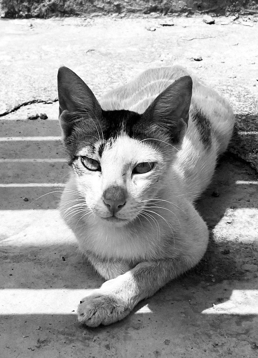 Happy national Photography Day! #nationalphotographyday