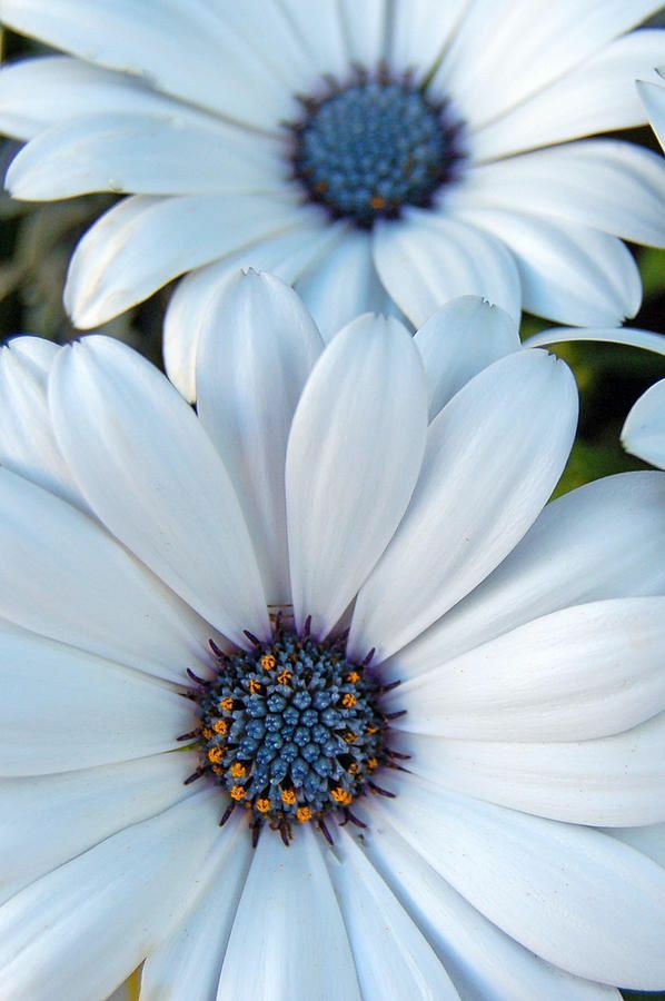 Freelancing is tough. It can be very difficult, in fact. It can wear people down, making them lose sight of what they used to love because they have to do everything else just to get by..

#Freelance #MONEY #Hardwork #success