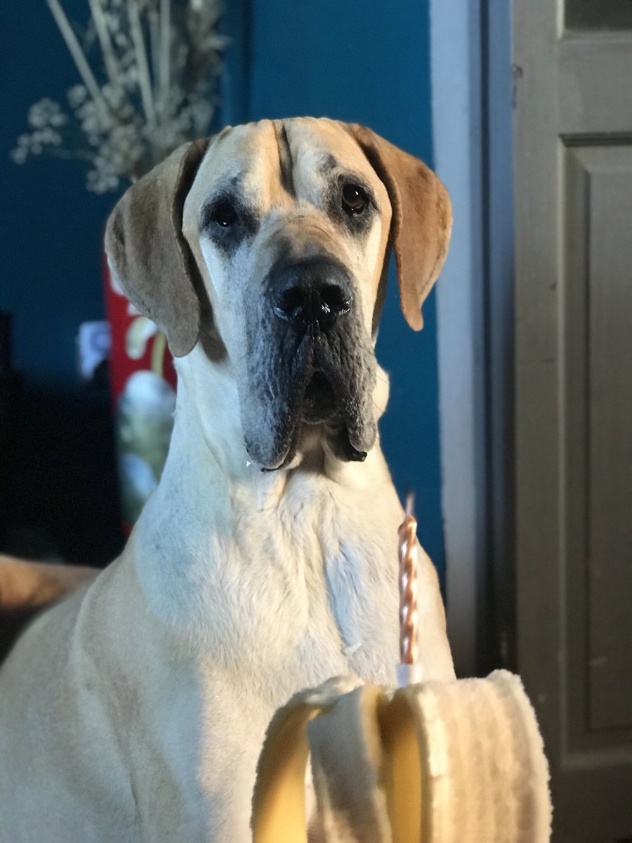 Michael J Richardson tweet media