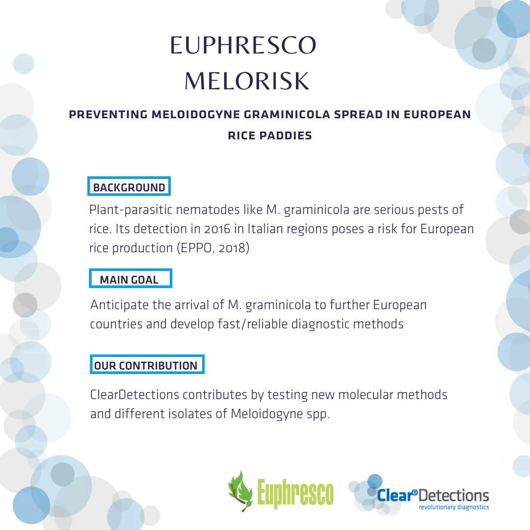 ClearDetections EN tweet media