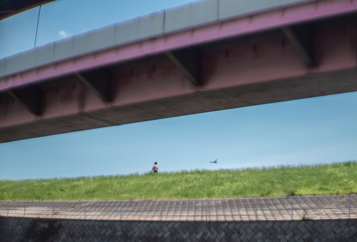 oldlens's tweet photo. 静けさを感じる光景。(荒川土手、西新井大師)
Kinoptik Fulgior 50mm f1.3
#オールドレンズ
#oldlens
#kinoptik
#fulgior
#西新井大師 https://t.co/BbEr8UVVdr