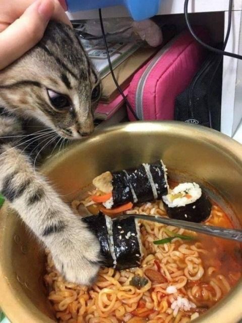 tandabahagia's tweet photo. ㅤ
Andre ketika dilarang Mas Sigit untuk makan makanan pedas:
(@MATEHATlKA) 
ㅤ https://t.co/vEwS5Prggd