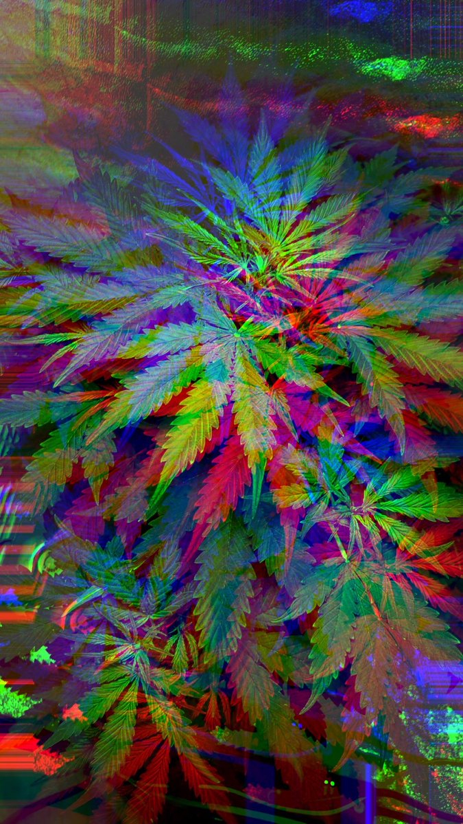 Trippy Abstractions tweet media