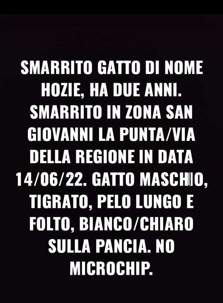 venus_ven1's tweet photo. Chiedo aiuto a tutte le persone di Catania e dintorni che ho tra i contatti, fate girare se potete.  #gatti #gattismarriti https://t.co/Xcne1QdFP9