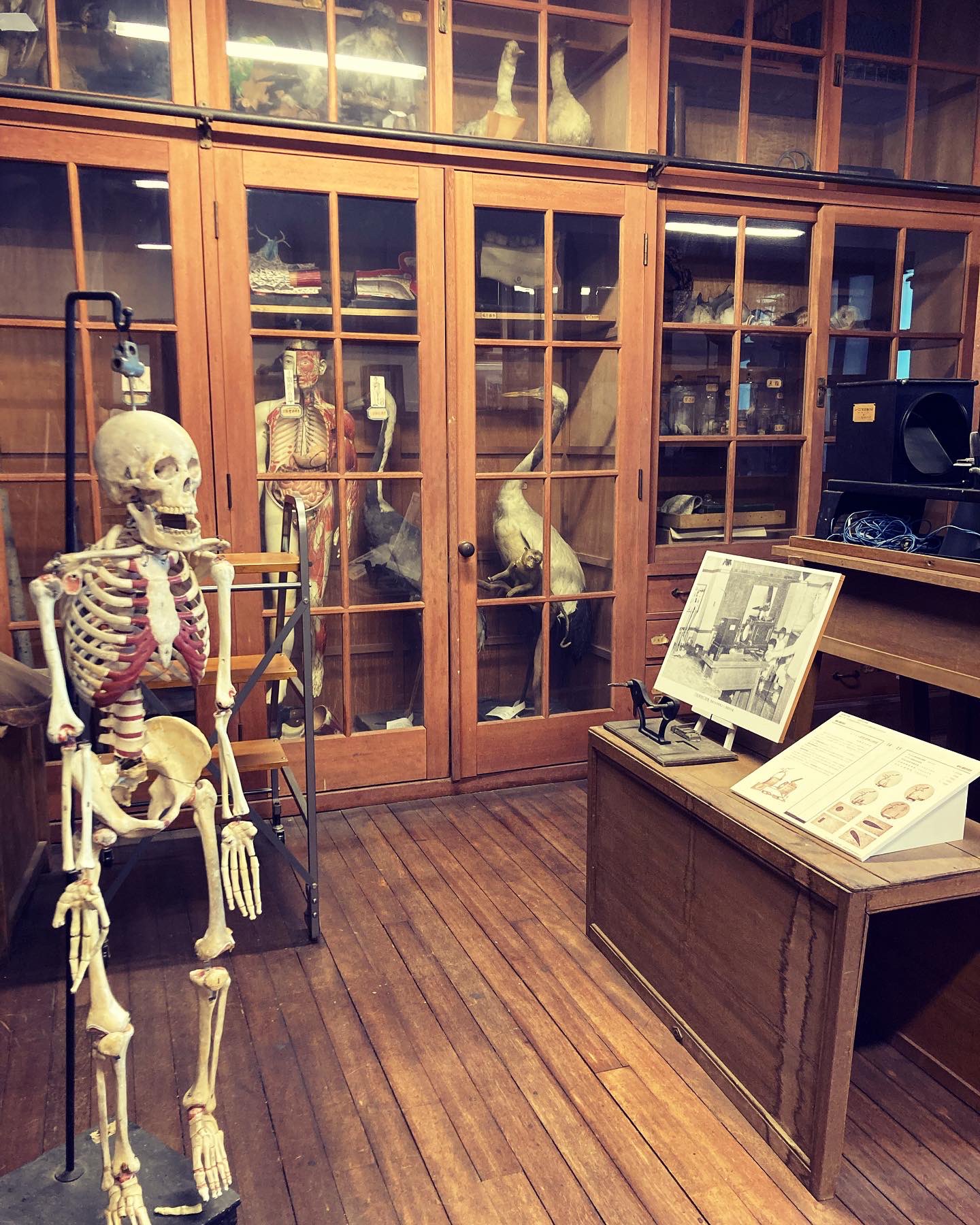 コレクター必見。旧小学校の理科室にあった物譲ってもらいました コレクター必見。旧小学校の理科室にあった物譲ってもらいました