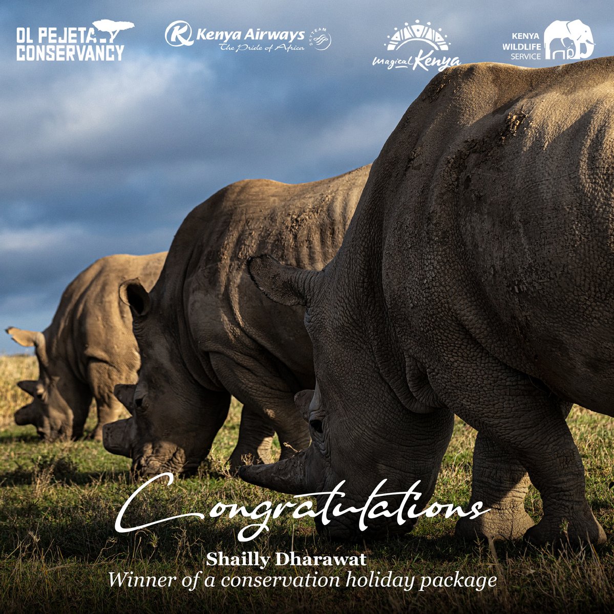 OmenoPaul's tweet photo. #RT @magicalkenya: By being part of our Conservation Conversation and signing up at https://t.co/DwEF3c6WDS, Shailly Dharawat is our lucky winner who wins an incredible vacation courtesy of @KenyaAirways @MagicalKenya @kwskenya and @Olpejeta.
#FlyWild #… https://t.co/JyM5D3pTzz