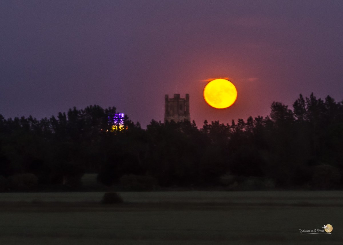 VeronicaJoPo's tweet photo. This was me standing on the roof of my car last night in the Fens, hoping to capture the #FullMoon rising over Ely cathedral in Cambridgeshire.
Just wasn’t high enough 😂😅 and I was worried about any damage.
Things we do with our cameras 🙃
#StrawberryMoon #IamNuts #Honestly https://t.co/qF6AUhZ0Ps