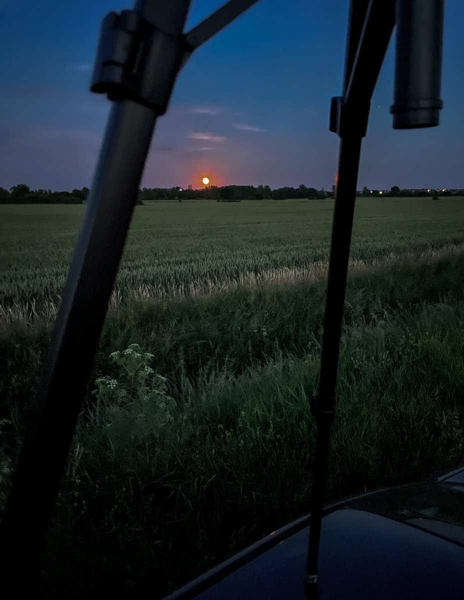 VeronicaJoPo's tweet photo. This was me standing on the roof of my car last night in the Fens, hoping to capture the #FullMoon rising over Ely cathedral in Cambridgeshire.
Just wasn’t high enough 😂😅 and I was worried about any damage.
Things we do with our cameras 🙃
#StrawberryMoon #IamNuts #Honestly https://t.co/qF6AUhZ0Ps