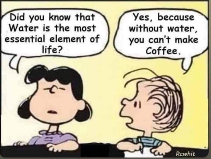 Coach Page👀🇺🇸 (@coachpage55) on Twitter photo 