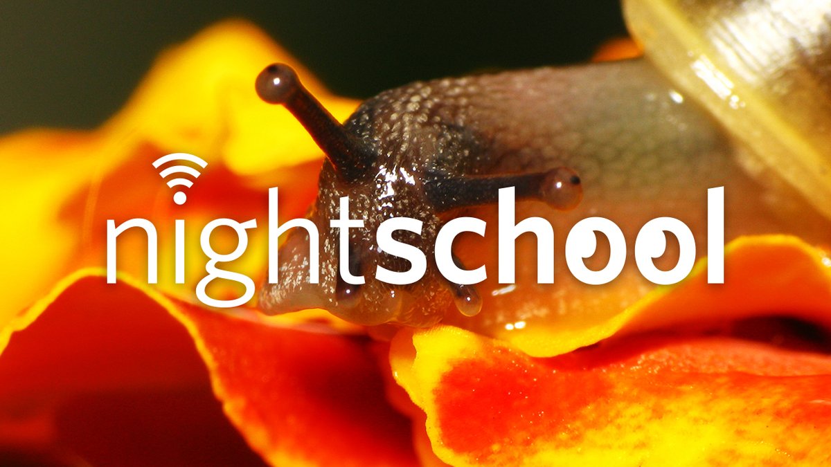 calacademy's tweet photo. This week, NightSchool is for snail lovers. 🐌 With Dr. Mandë Holford (@scimaven) on venomous marine snails, Dr. Jann Vendetti of @NHMLA on garden-loving city snails, plus a tour of snails from our collections w/ Chrissy Piotrowski. Streaming live, 7pm PT: https://t.co/q3jsKO2A6J https://t.co/eX9JyLUGRP