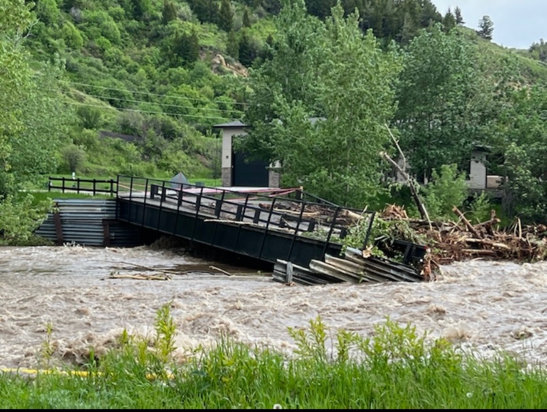 Garfield but AntiFascist on Twitter "RT RedoubtAFA 🚨 In nonfash