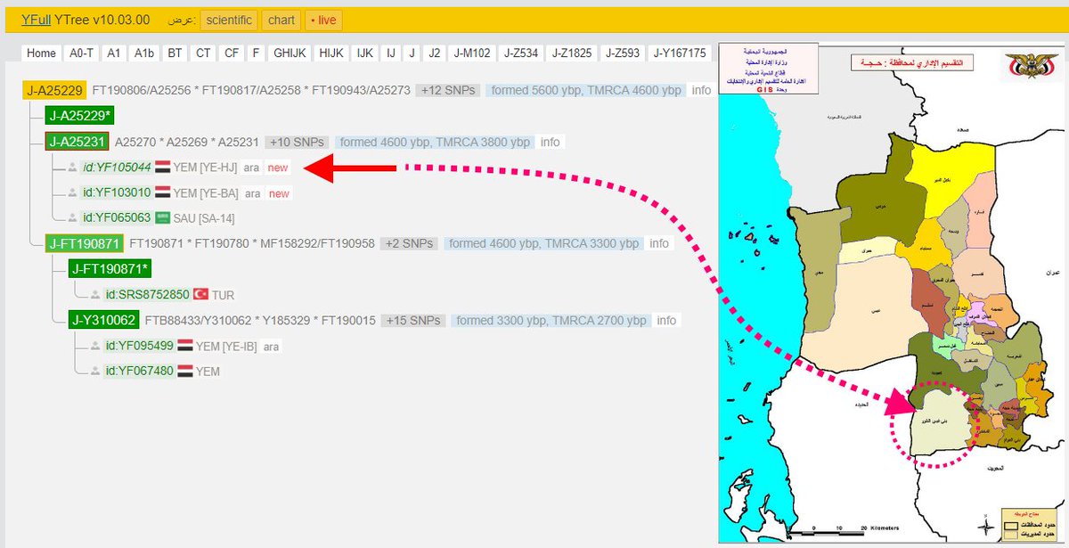 🔺 إعلان نتيجة Yfull 
لقبيلة  بيت صيفان من قبائل ربع البوني 
 تهامه بني قيس الطور 
محافظة حجة، شمال اليمن، جهه تهامه
تحت السلالة ـJ2b2 
J2b-M102>J-Z534>J-Z1825>J-Z593>J-Y167175>J-A25229>J-A25231
والشكر موصول لمشروع بني هاجر@Alhajri_DNA لإتاحتهم العينة  
للنتيجة 55 تحور خاص