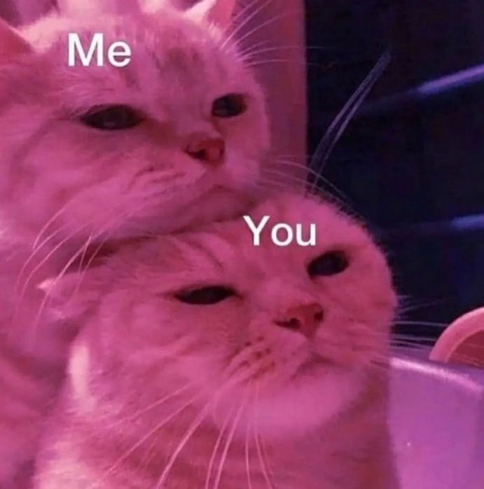 draculamala's tweet photo. hey look @omegaexcavate it’s us!! 🥰 -Sana https://t.co/G1DbYd2CZZ