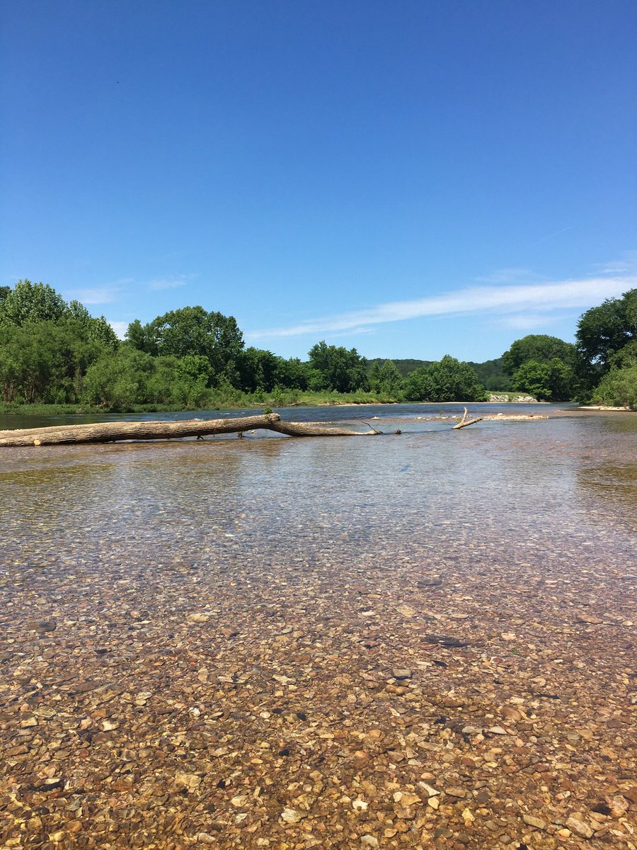 roseabell75's tweet photo. #photography #NaturePhotography #outdoors #adventure #SWMissouri https://t.co/oBR2vy9FYN