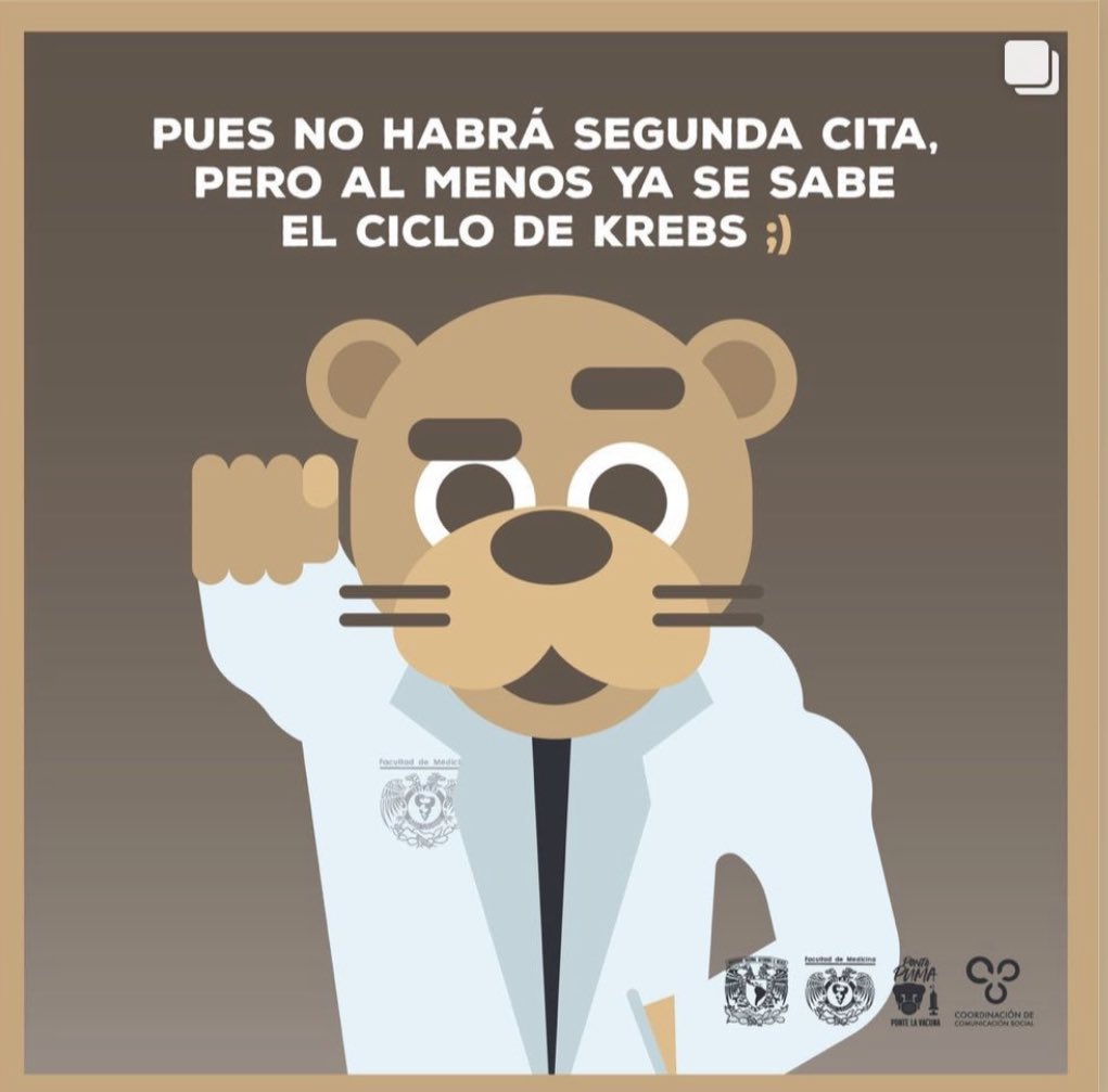 _manetorres's tweet photo. Será internista?? 🤔 https://t.co/caOej42SYz
