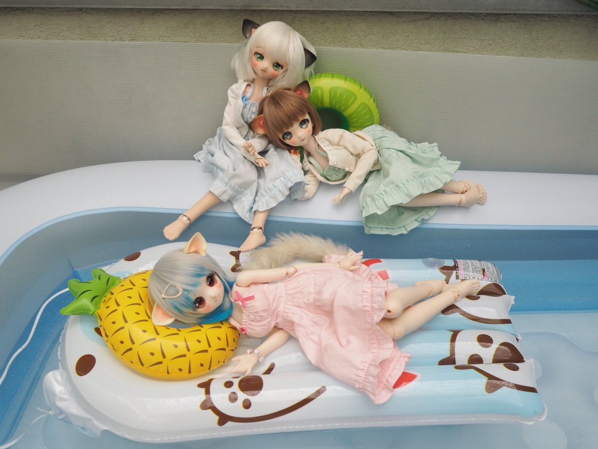 のってぃ tweet media