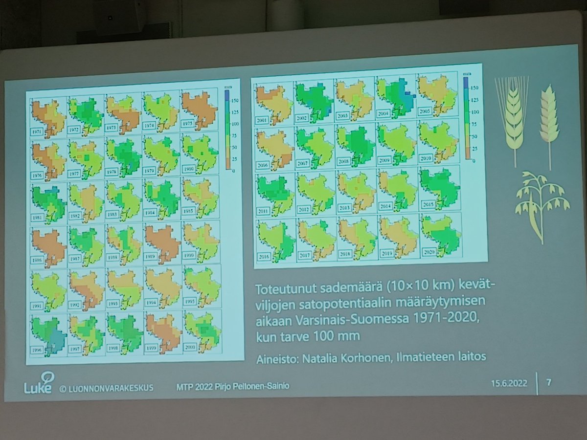 Kuivuus aiheuttaa toistuvia satotappioita: keskimäärin 7-8 vuotena/vuosikymmen kuivuus viljan satoikkunan aikaan verottaa satoja, ilmenee <a href="/PeltonenSainio/">Pirjo Peltonen-Sainio</a> tutkimuksessa, esimerkkinä Varsinais-Suomen alue #maataloustiede2022. Ruskea-keltainen väri kuvassa kuvaa sadannan vajetta.