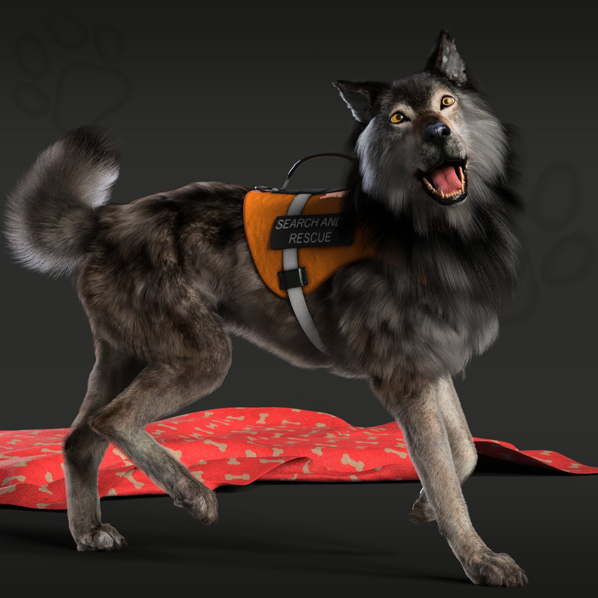passiveuphoria's tweet photo. Search & Rescue, go~
@NFungiblePeople @daz3d
#nfpeeps #NFPets #NonFungiblePeople #NFT #NFTs #NFTCommunity #DAZ3D #3D #EnglishBulldog #pet #dog https://t.co/wOSFP1YKQw
