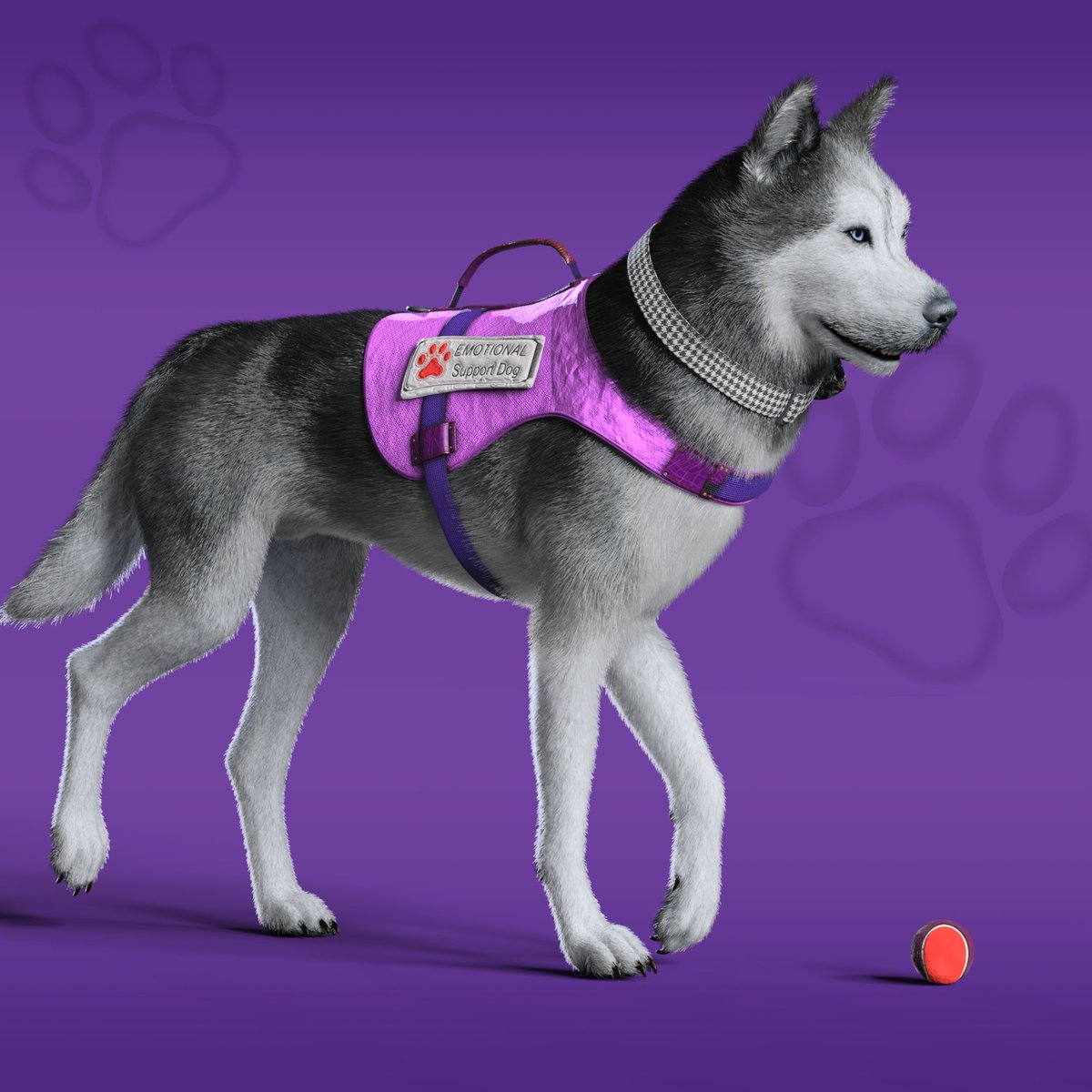 passiveuphoria's tweet photo. Are you emotional?
@NFungiblePeople @daz3d
#nfpeeps #NFPets #NonFungiblePeople #NFT #NFTs #NFTCommunity #DAZ3D #3D #pet #dog #Husky https://t.co/I7TQT0VZzK
