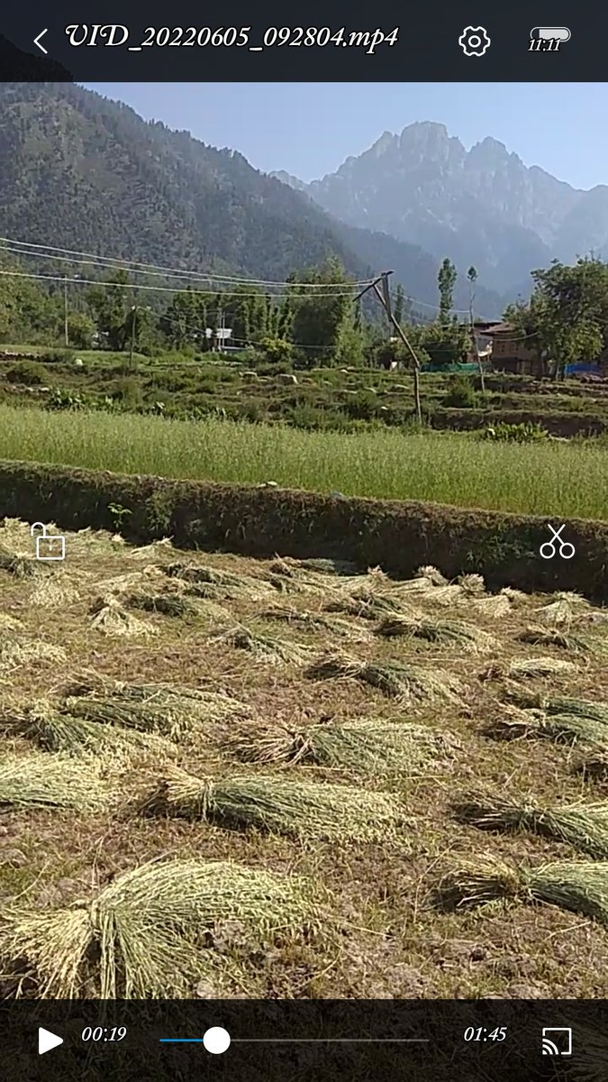 ZedRestive's tweet photo. @pddjkofficial @xenPDD_ED_ANG @cekpdcl @KPDCLAishmuqam Failure of PDD. Have a look on this video.
Location. Village Hapatnar Bhat Mohalla Near Panchayat Ghar  A Sub Division Aishmuqam. https://t.co/TVblDUYV68