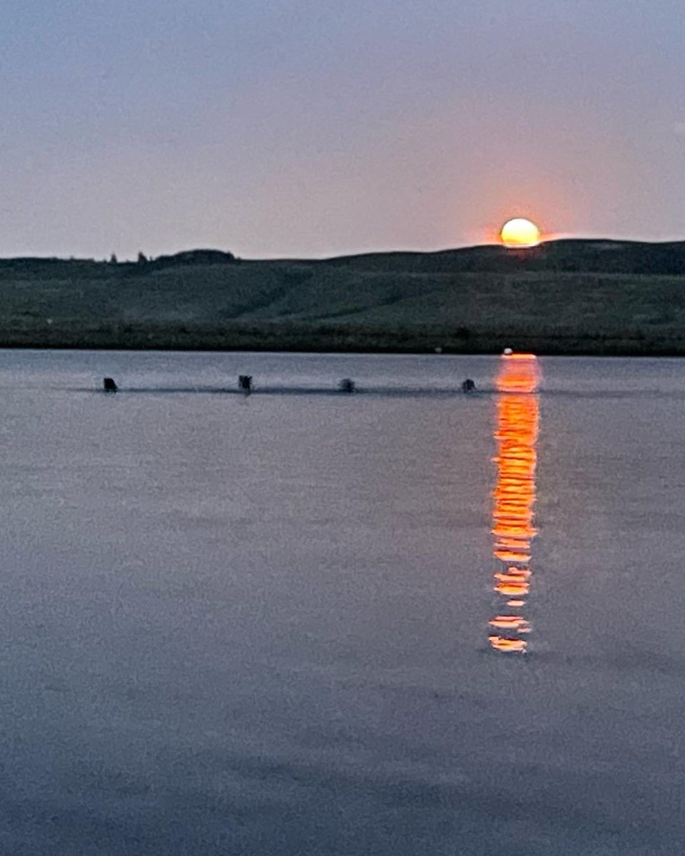 Stunning full moon swim