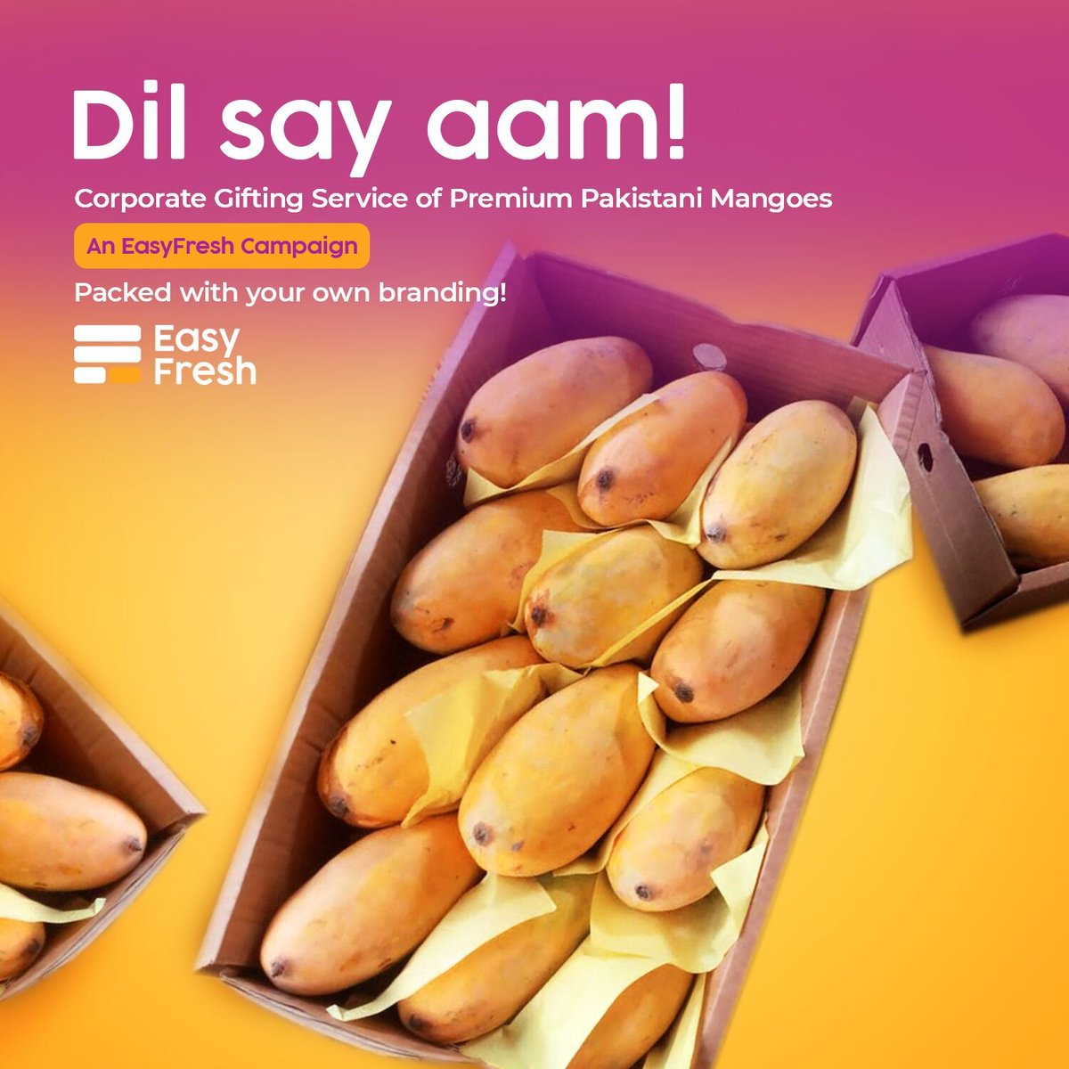 easyfreshtech's tweet photo. “Dil say aam” by EasyFresh let’s your company celebrate its organisational relationships, with our Corporate Gifting Service of Premium Pakistani #Mangoes. Hand-picked, farm-fresh, export-grade

Email at mangoes@easyfreshtech.com or call us at 0309-5558445

#Islamabad #Karachi https://t.co/rWWBsRS4GD