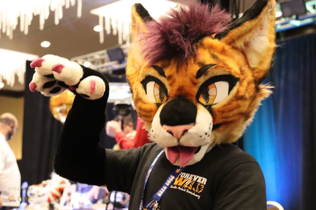 CreepnCat's tweet photo. π₯Ί Take me back to #GSFC2022 https://t.co/QdM7T0hrl0