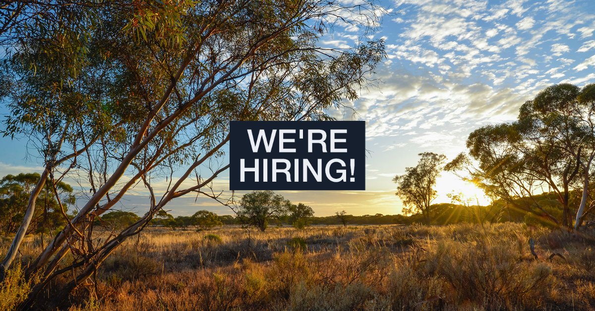 We’re seeking a talented and motivated individual to lead major reintroduction and conservation management projects on our NSW sanctuaries and partnership properties. Applications close June 20. 
Find out more  👉 bit.ly/AWC-SeniorWild…  
📷 W Lawler/AWC