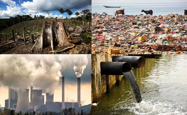 Only Humans  Cuts  down trees, Litter beaches,Release harmful gases in to the Atmosphere and dumps Untreated sewerage into water bodies.
Only Humans who Destroys Their Own Home.
#ClimateCrisis #FridaysForFuture #SaveSoil #conservation  #Biodiversity #ClimateEmergency #Sadhguru