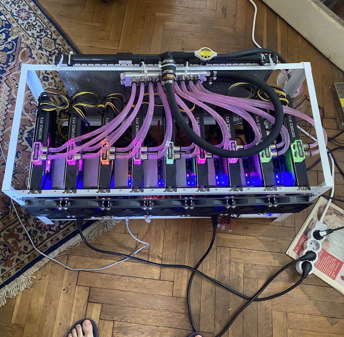 Nai- stabilniq rig v bulgariq? 🤭