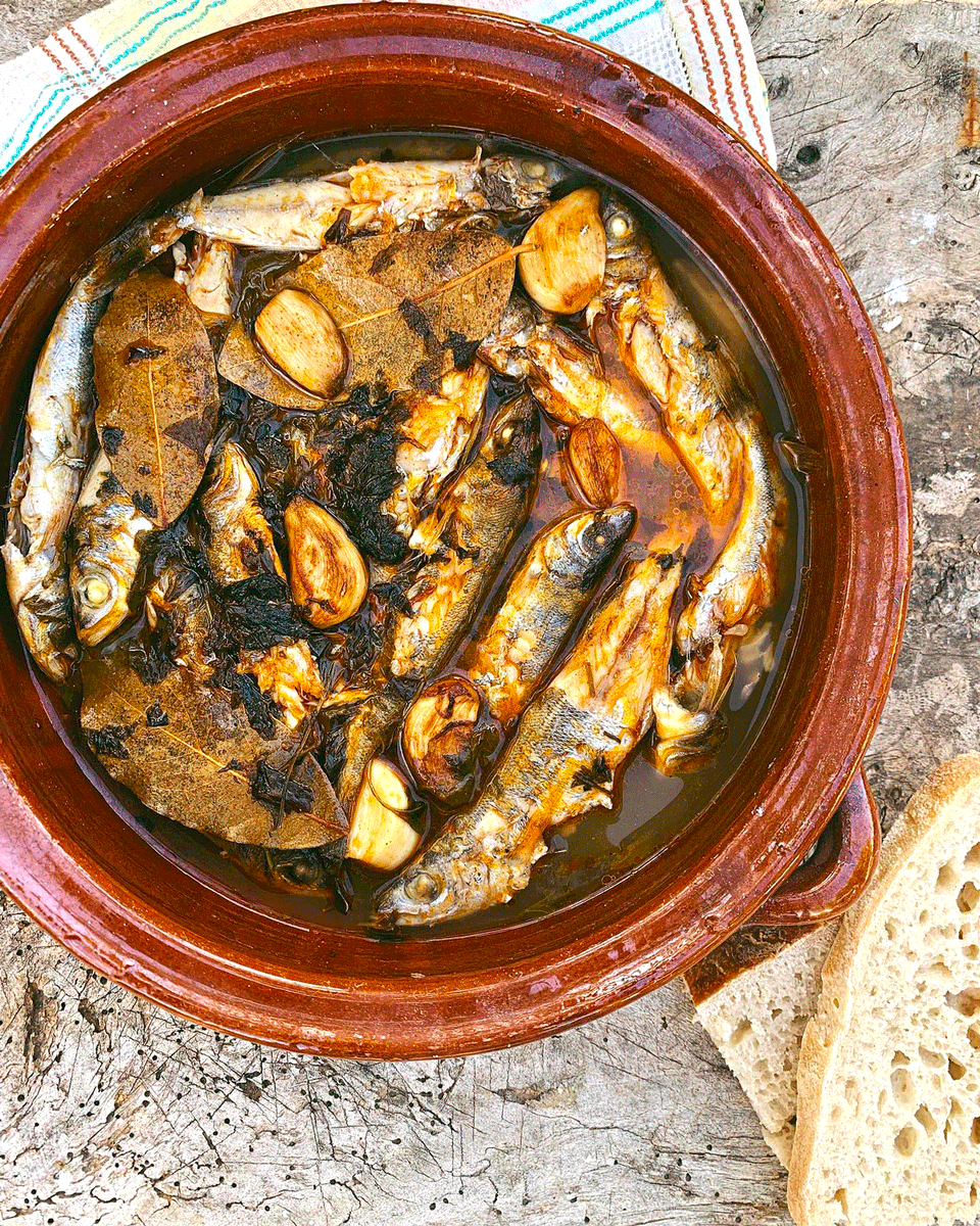 peixnostrum's tweet photo. Que buena pinta, 'Gerret escabetxat' (caramel en escabeche). @marinaribast (dietista integrativa) comparte su receta 💙 🙌🏼 🐟 https://t.co/ANvhCgafYQ
#gerret #recetas #cocinamarinera #cocinademar #cocinamediterránea #gastronomía #SlowFish #EconomíaAzul #Ibiza #Eivissa https://t.co/x81vbgZwVL