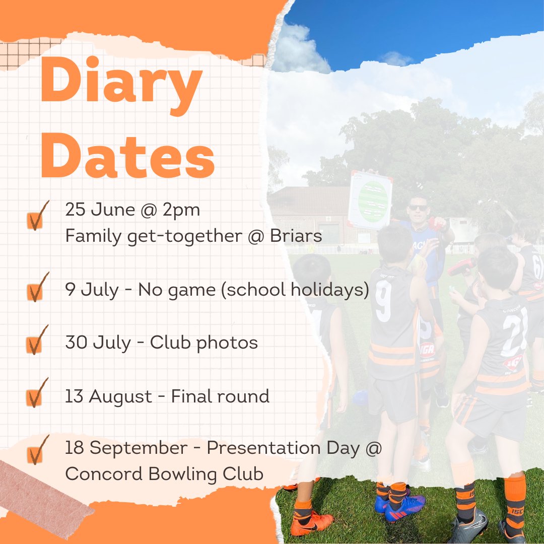 ConcordGiants's tweet photo. Concord Giants Newsletter https://t.co/gu8w7FdXfx https://t.co/TQ049Fi1nD