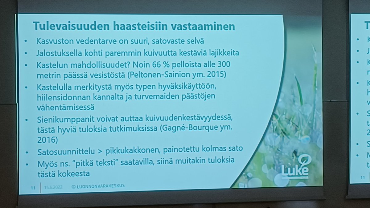 EllaAnu's tweet photo. Maataloustieteen päivillä hyvää koontia nurmista ja laidunnuksesta! Timotei kestää kuumaa jos vettä riittää. Suurin juuristo nurmiheinillä kun 150kgN/ha. Laidunnus motivoi lehmää vaikkei olisi edes syötävää. #maataloustiede2022 @ProAgria https://t.co/MMQPc2Y98p