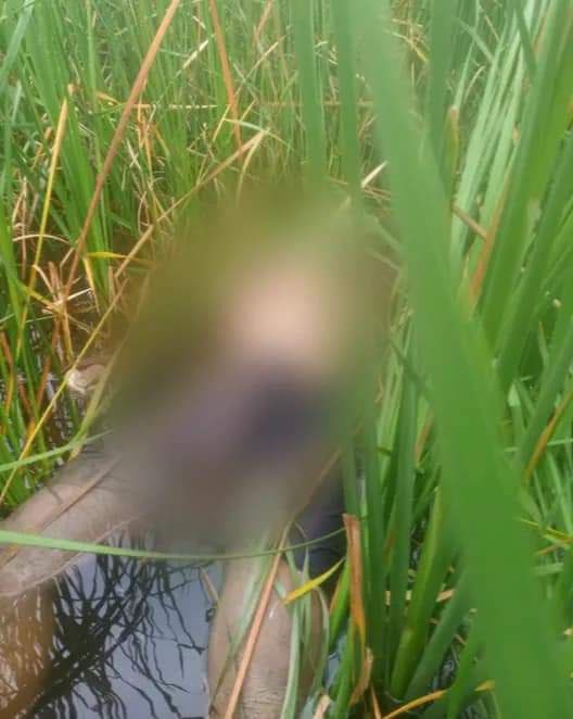 _sumythw's tweet photo. Junta soldiers killed 8 local residents from Taohn village, ShweBo tsp, Sagaing division on Jun 10th and 12th. They also plundered nearby villages. #2022Jun15Coup #WarCrimesOfJunta #WhatsHappeningInMyanmar https://t.co/HfUr3MvHQc