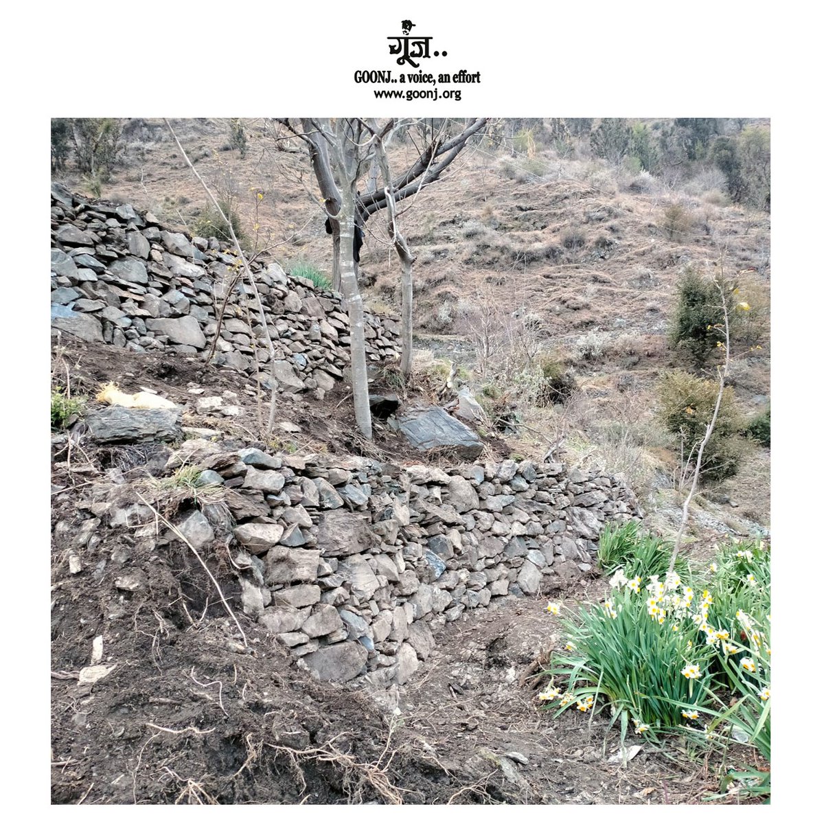 goonj's tweet photo. Goonj’s #DignityforWork is all about mobilizing people to address their neglected problems.
People of Manhas Mohallah Village, Kathua in Jammu & Kashmir have long struggled with steep slopes, given the mountainous terrain of their area.
To read more,
https://t.co/gH5ySUkMei https://t.co/4TbJ1qGQHe