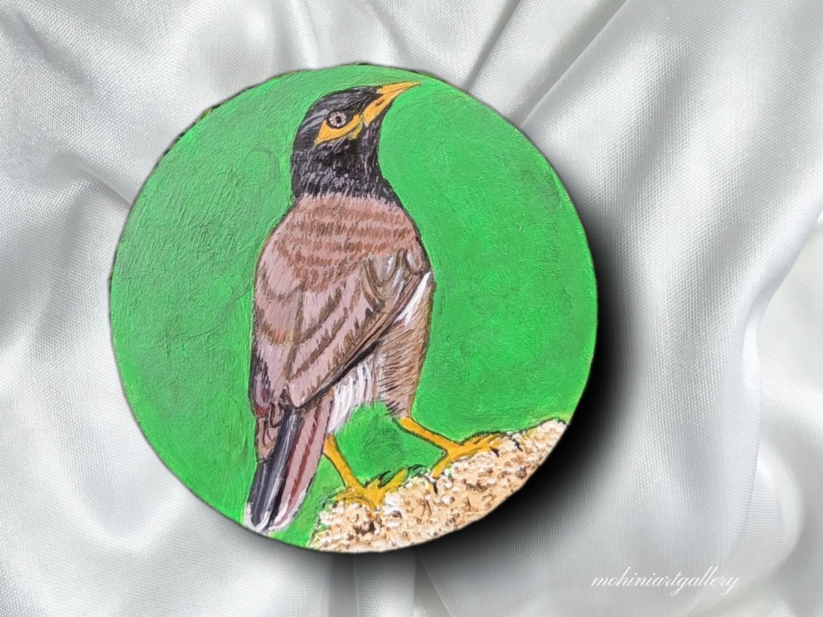 MohiniArt's tweet photo. Mynah bird

Base : mdf by @ivalueeveryidea 

Medium : acrylic @winsorandnewton 

#mynah #maina #mynahbird #mynahbirds #birds_private #birdpaintings #acrylicpaint #acrylicartists #mohiniartgallery #artoftheday🎨 #painting https://t.co/M0guhanOZv