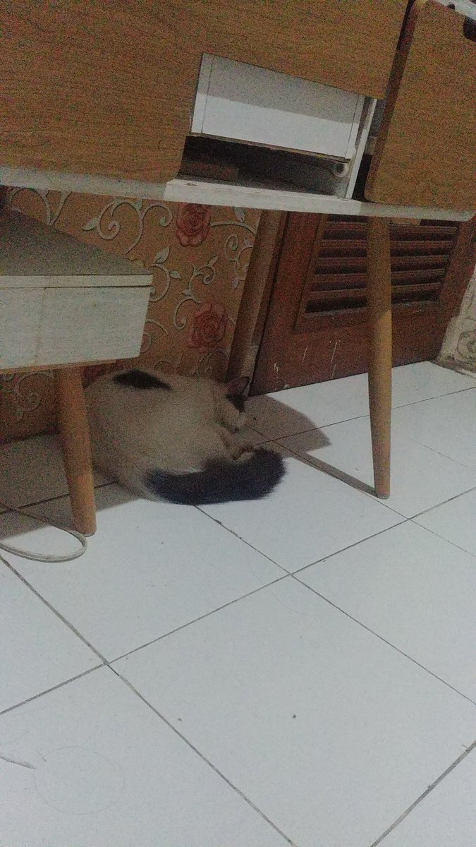 dear_erviany's tweet photo. @salimafillah Klo tidur maunya didlm kamar https://t.co/WVwXqws6M8