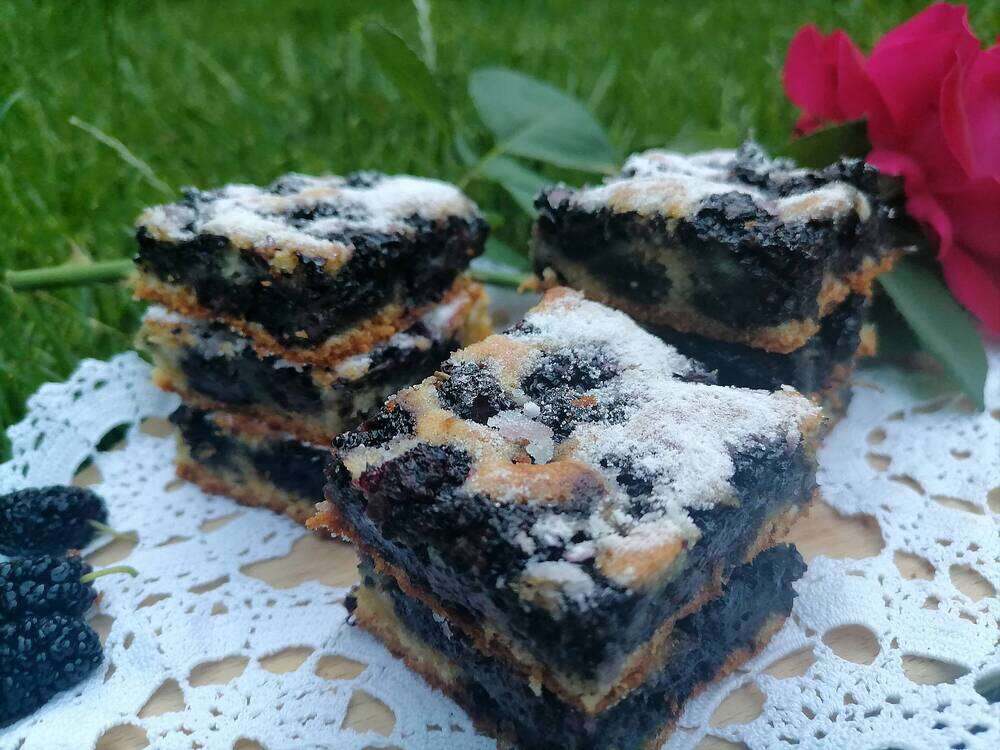 ReceptiiKuvar's tweet photo. Kolač sa dudovima - Verica Poznanović - https://t.co/o2gbR9uoaP Recepti+i+Kuvar+online https://t.co/GcKr4Nvj9j
