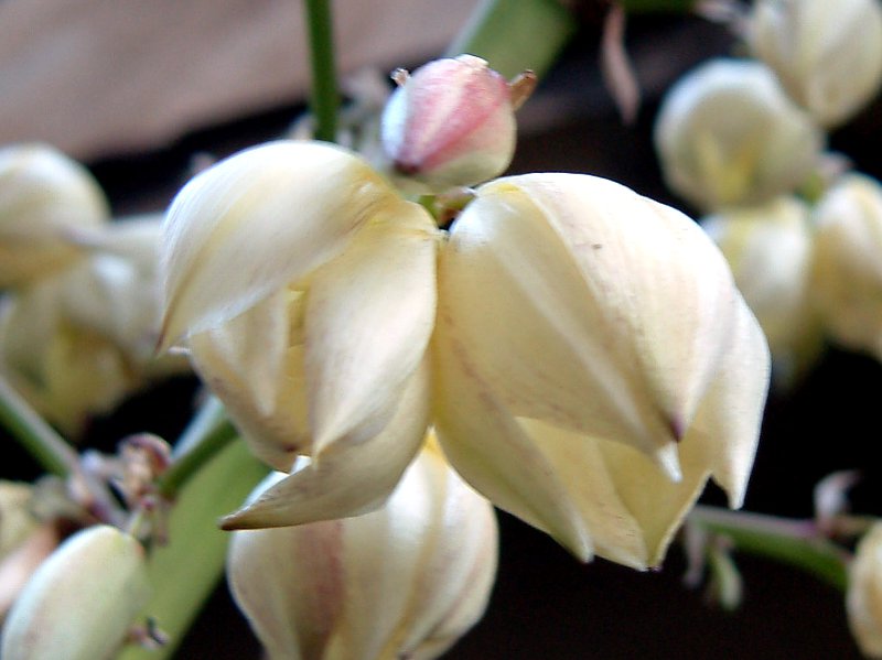 科学技術研究所 Kagiken Publish Twitter